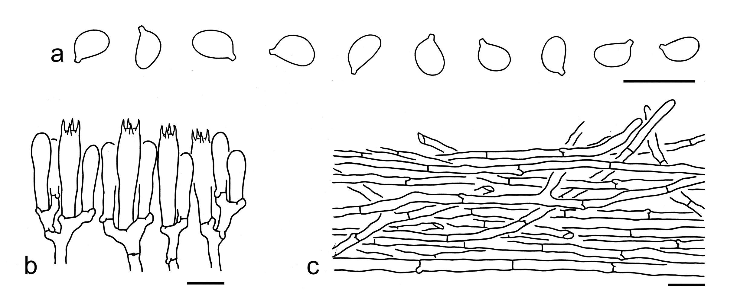 Figure 79